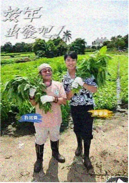 小说阅读器完本玄幻《九霄剑骨》封面